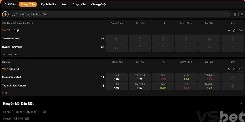 cá cược Bóng Rổ VSbet